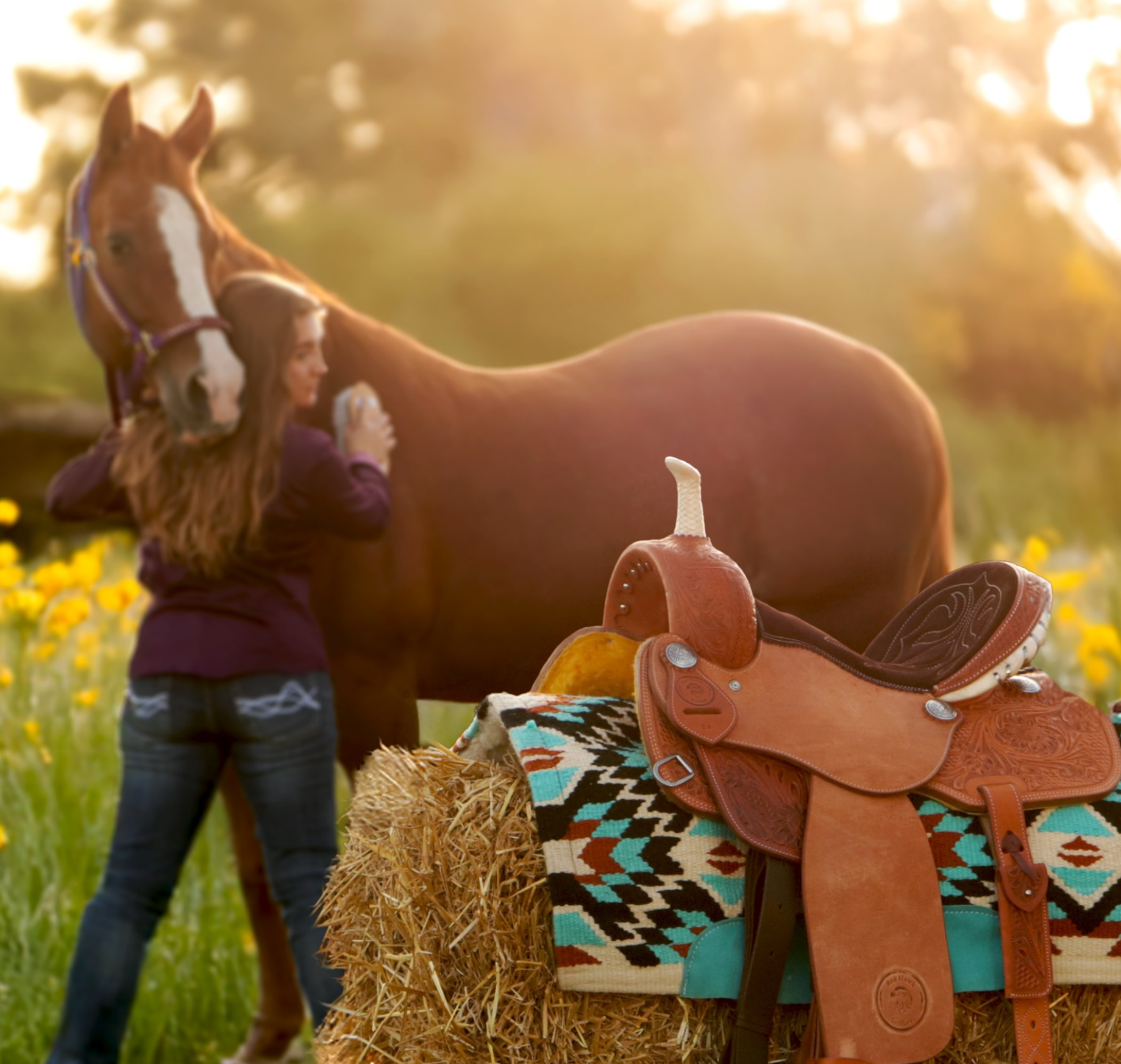 Woman petting a horse in a field with a saddle and blanket in the foreground.